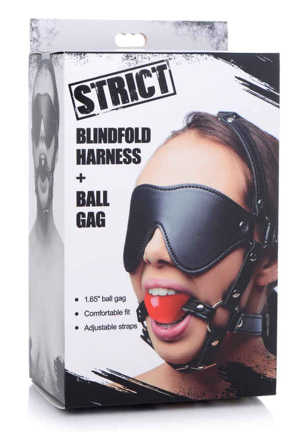 Blindfold Harness with Ball Gag