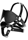 Strict Eye Mask Harness with Ball Gag