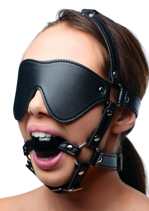 Strict Eye Mask Harness with Ball Gag - Black