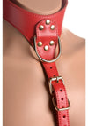 Strict Female Chest Harness - Metal/Red - Large/Medium