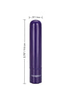 Tiny Teasers Rechargeable Bullet