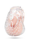 Blueline Full Coverage Cock and Balls Locked Up Chastity Cage Trap - Clear