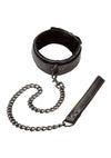 Boundless Collar and Leash