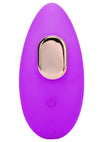 In A Bag Silicone Rechargeable Magnetic Panty Vibe with Remote