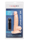 Mr Just Right Vibrating Dildo with Bullet