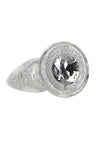 Pillow Talk Fancy Glass Anal Plug - Clear