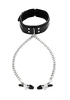 Sportsheets Collar with Nipple Clamps