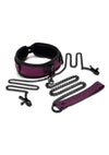 WhipSmart Dragon's Lair Collar, Leash and Nipple Clips - Black/Purple - Set